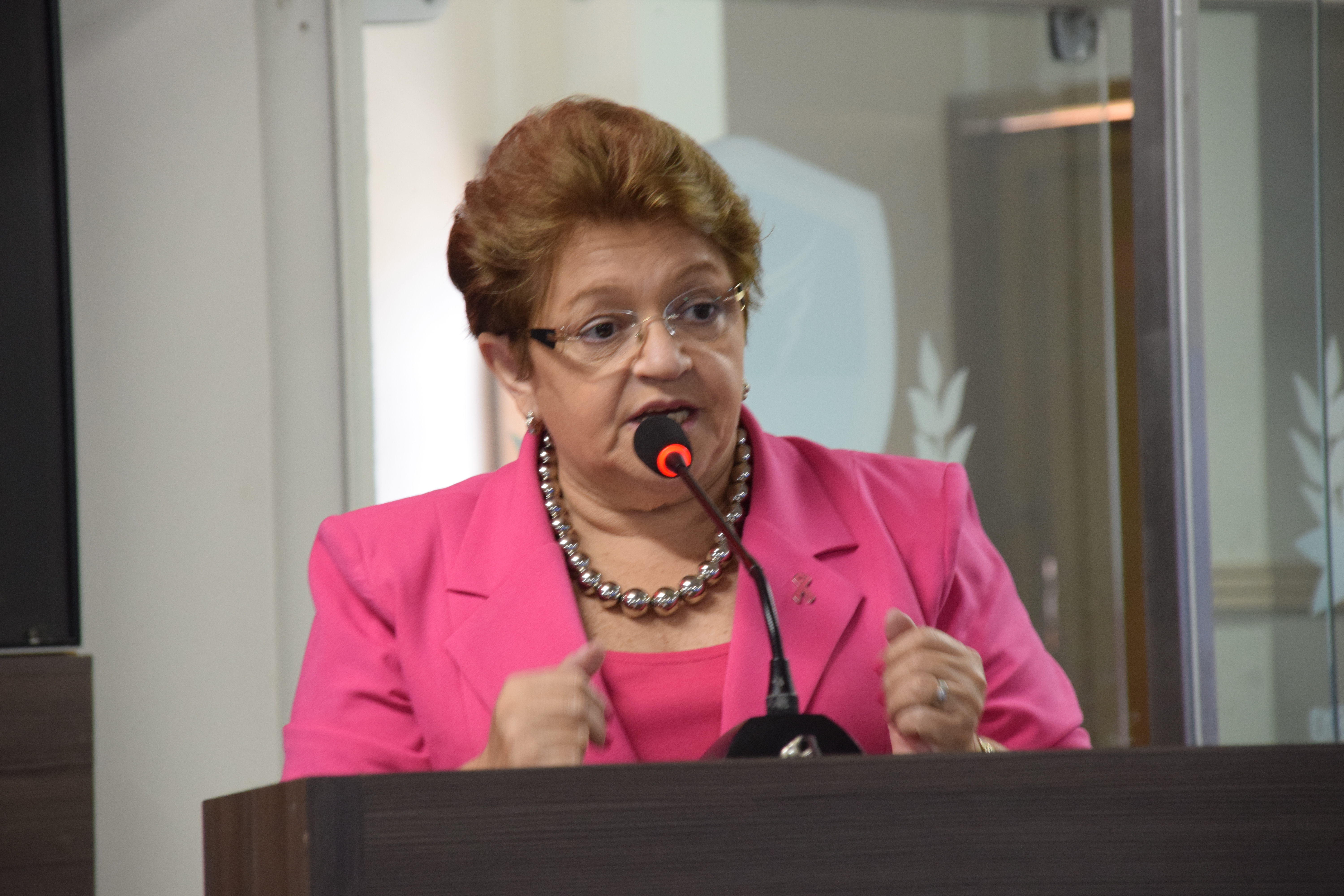 “Construção da sede própria da Câmara vai gerar economia”, explica Izabel Montenegro