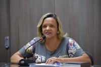 Aline Couto pede atenção do poder público para a saúde e segurança da cidade