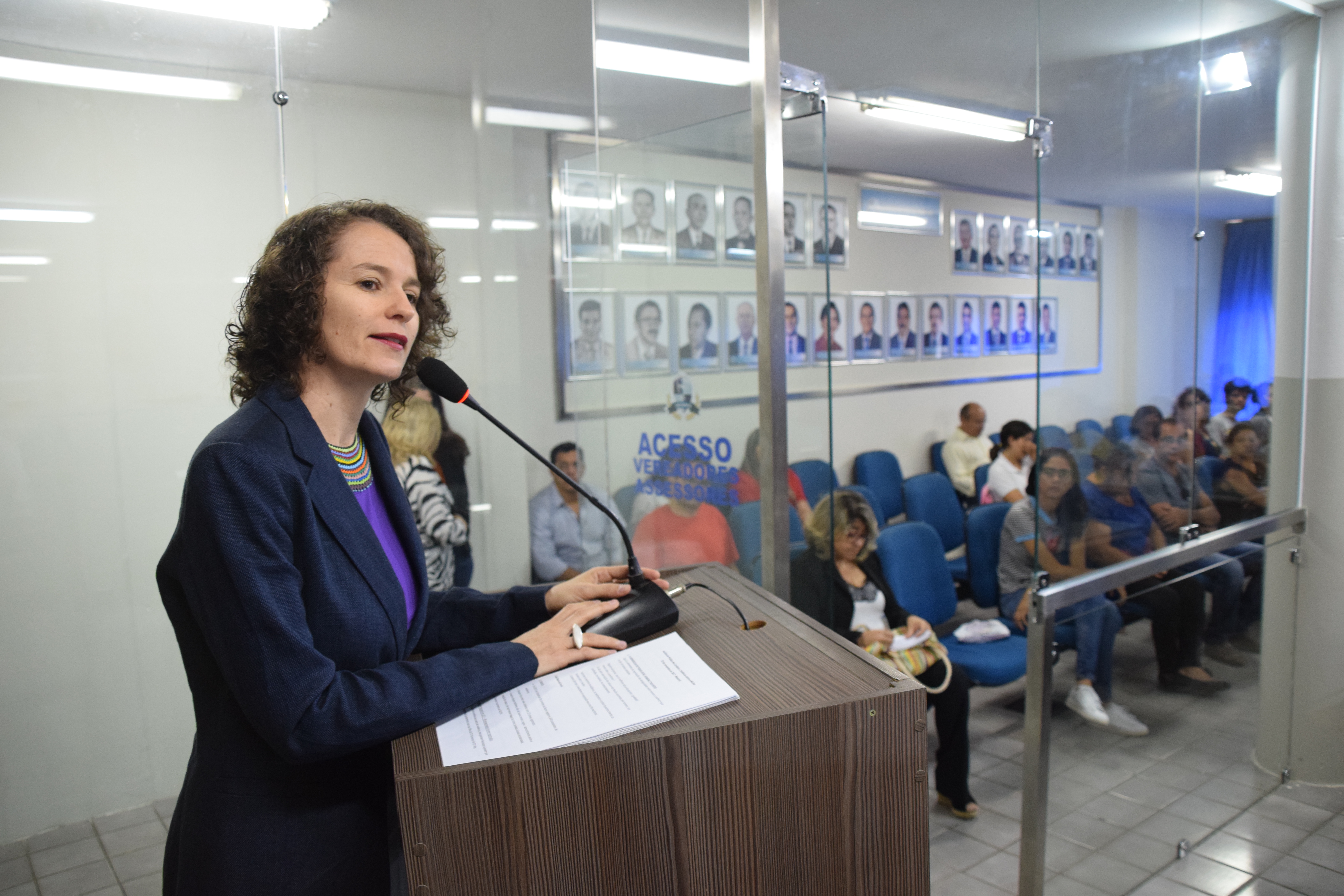 Câmara debate violência contra a mulher