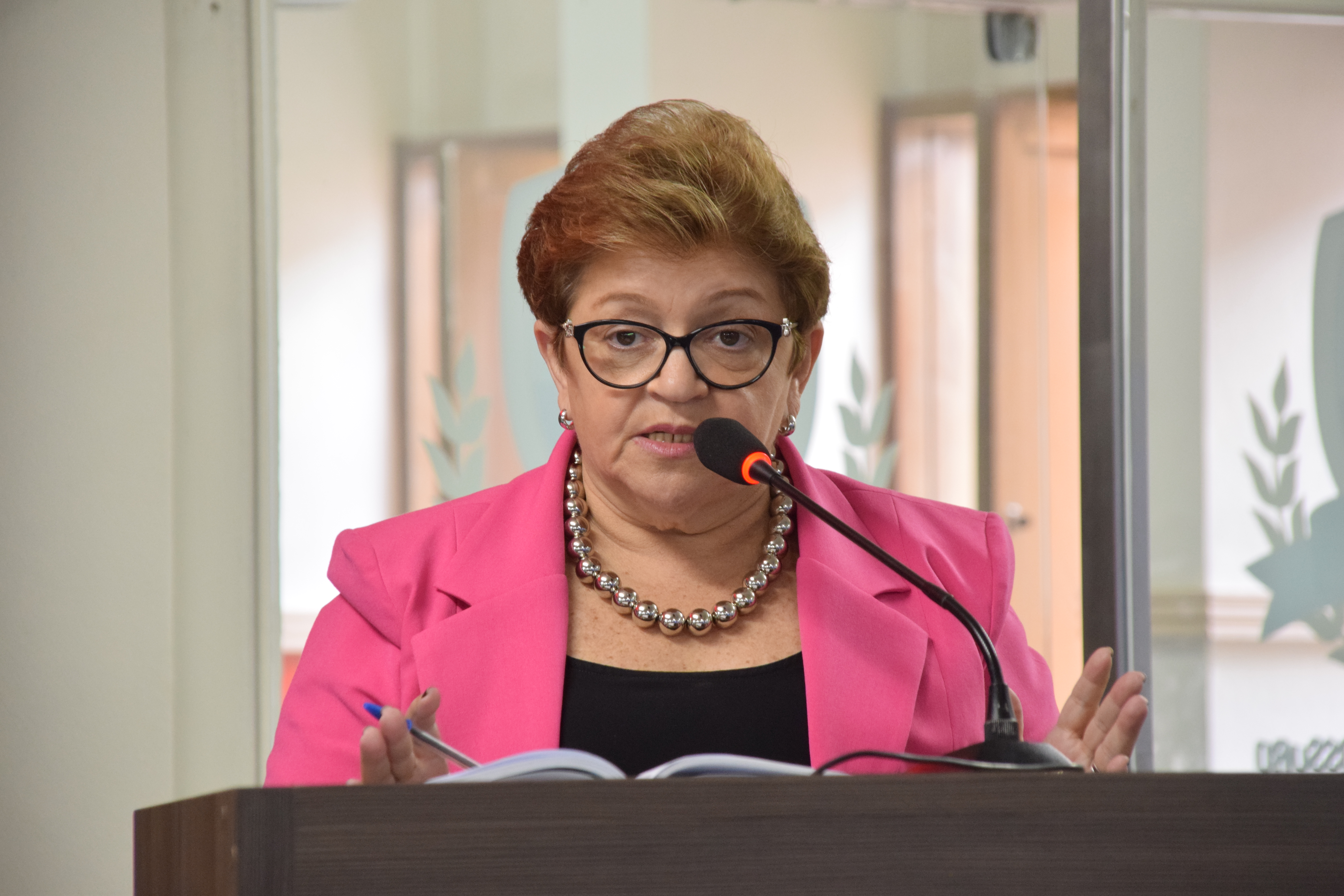 Izabel Montenegro pede investimentos para a indústria