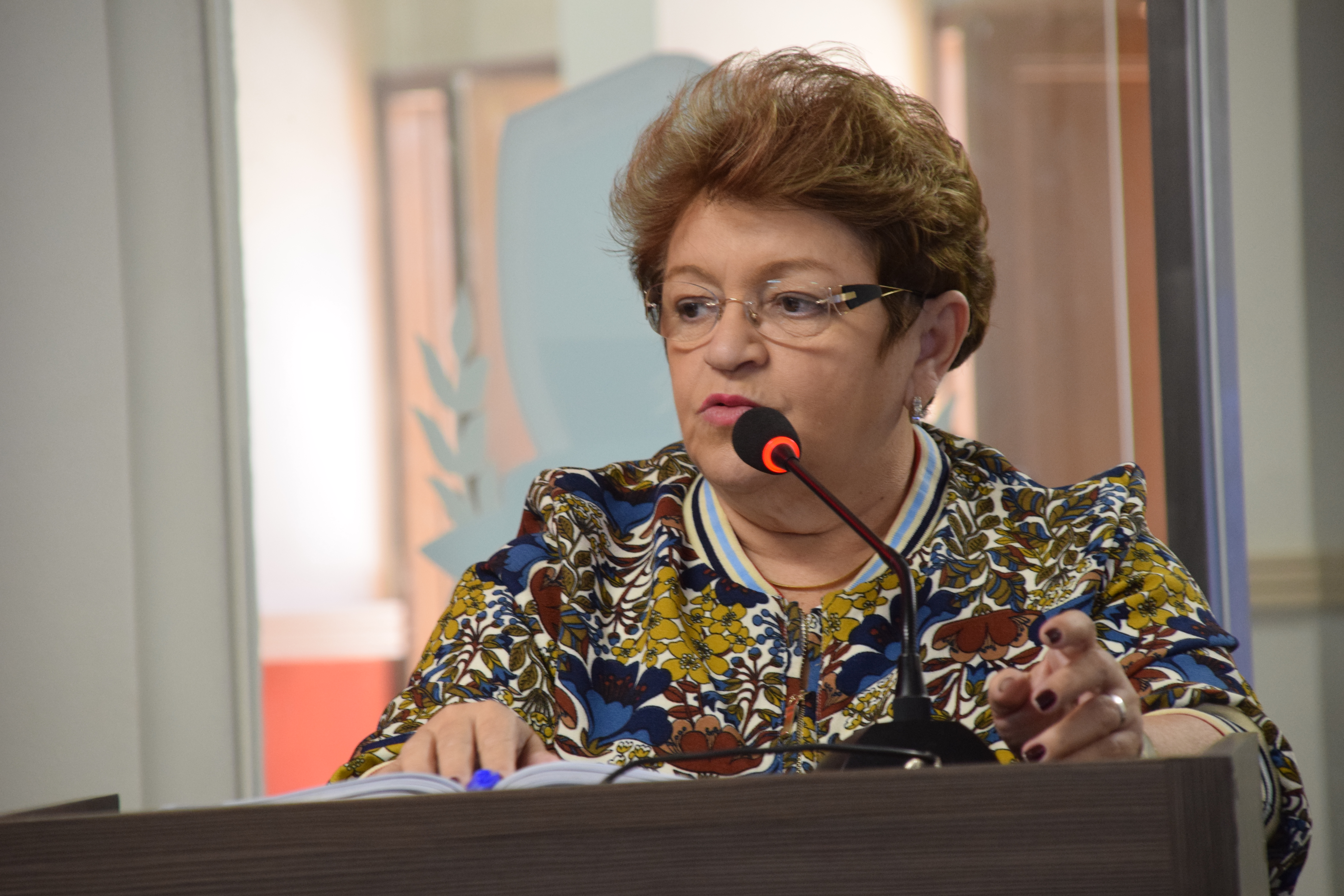 Vereadores de Mossoró cumprem agenda em Brasília