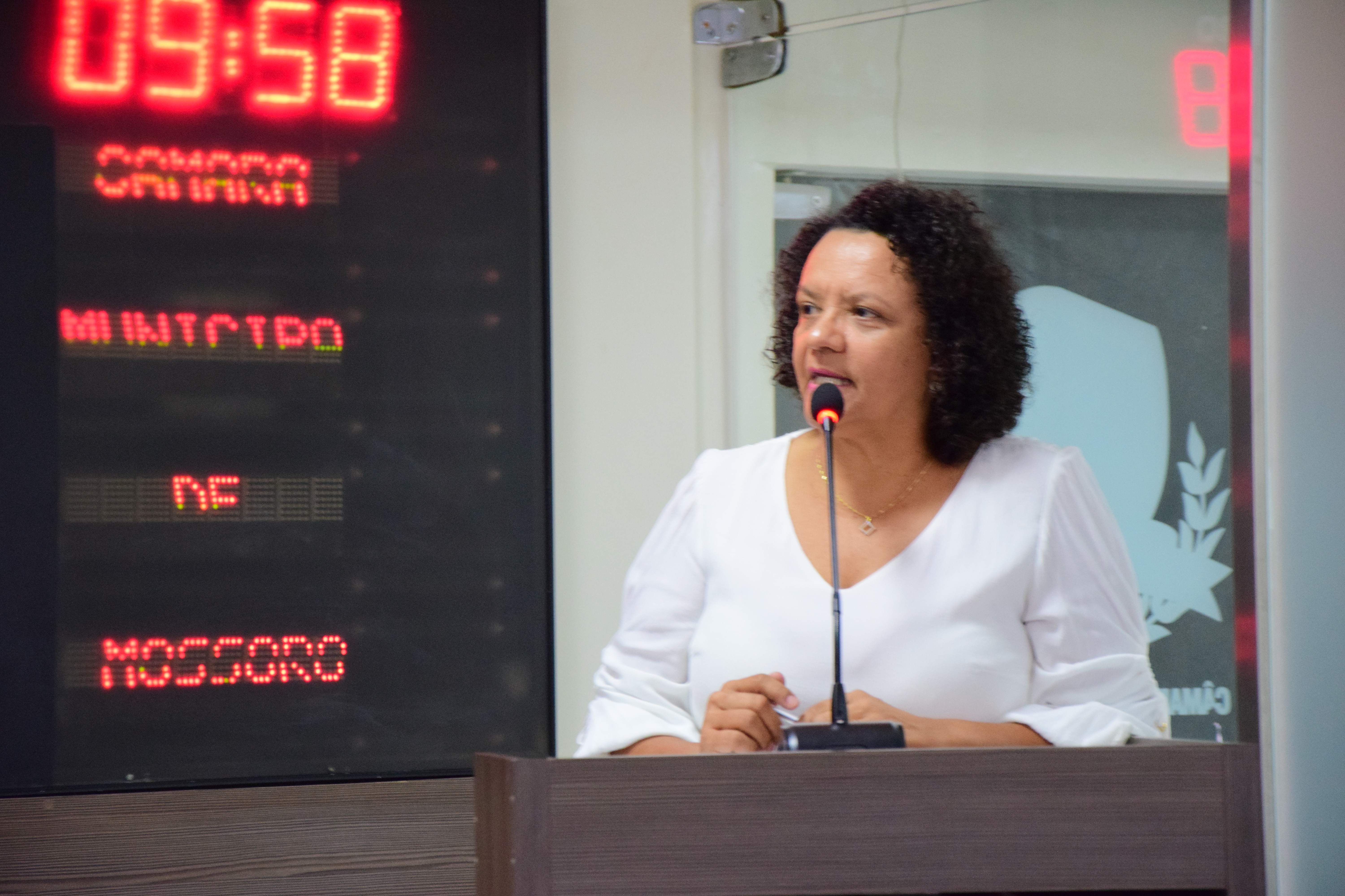 Aline  Couto solicita à Prefeitura higienização das paradas de ônibus 