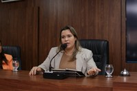 Câmara Municipal de Mossoró realiza audiência pública sobre a LDO 2026