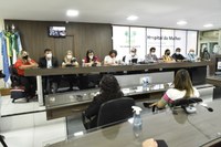 Câmara sedia audiência pública da Assembleia Legislativa sobre Hospital da Mulher