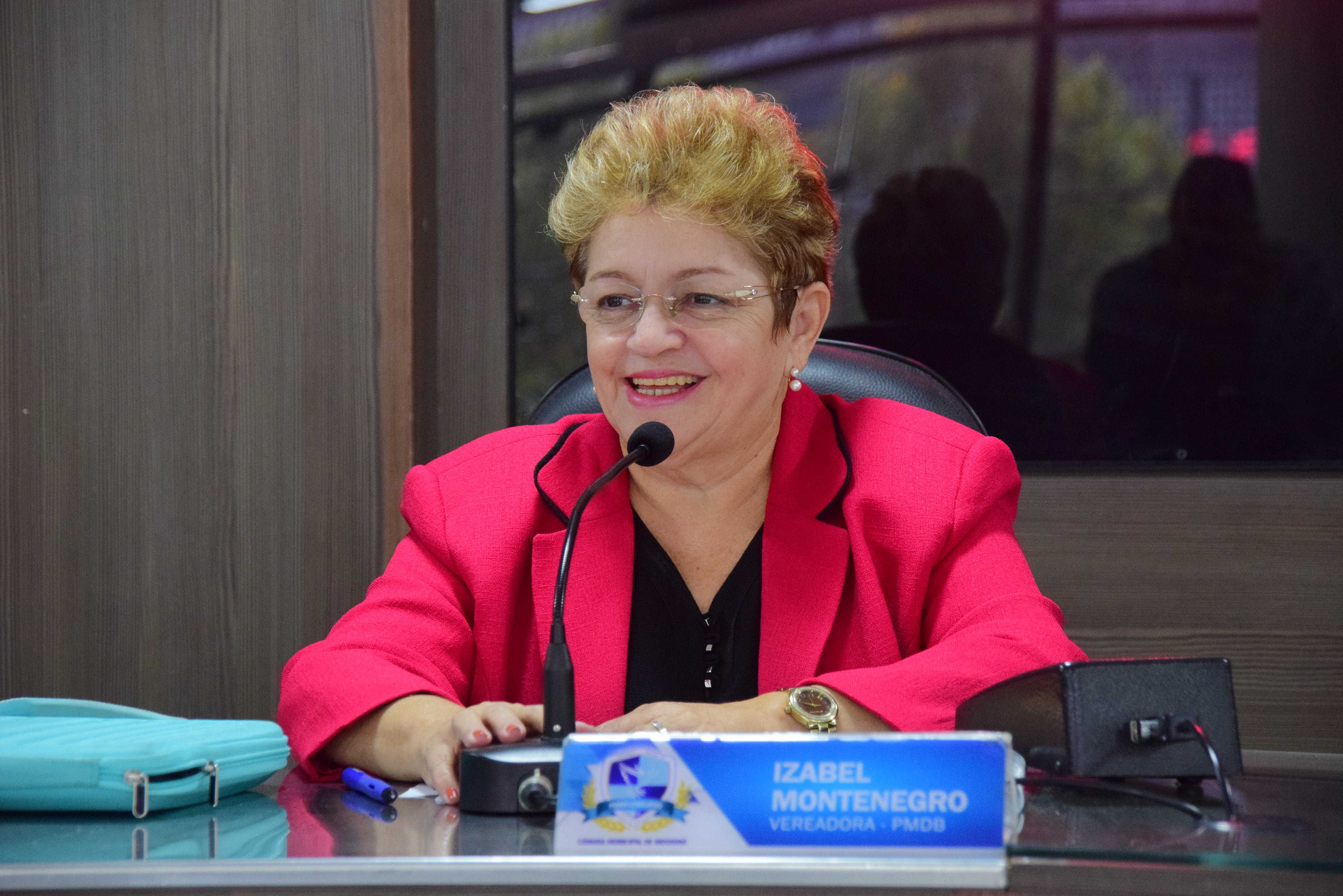 Izabel Montenegro é parlamentar mais produtiva de 2018