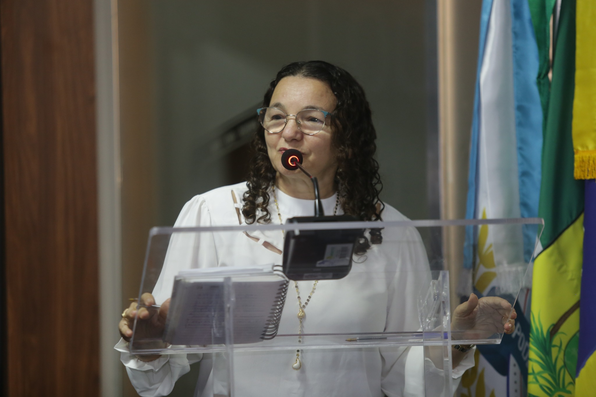 Marleide Cunha defende regulamentação de lei que reserva vagas de emprego para mulheres vítimas de violência
