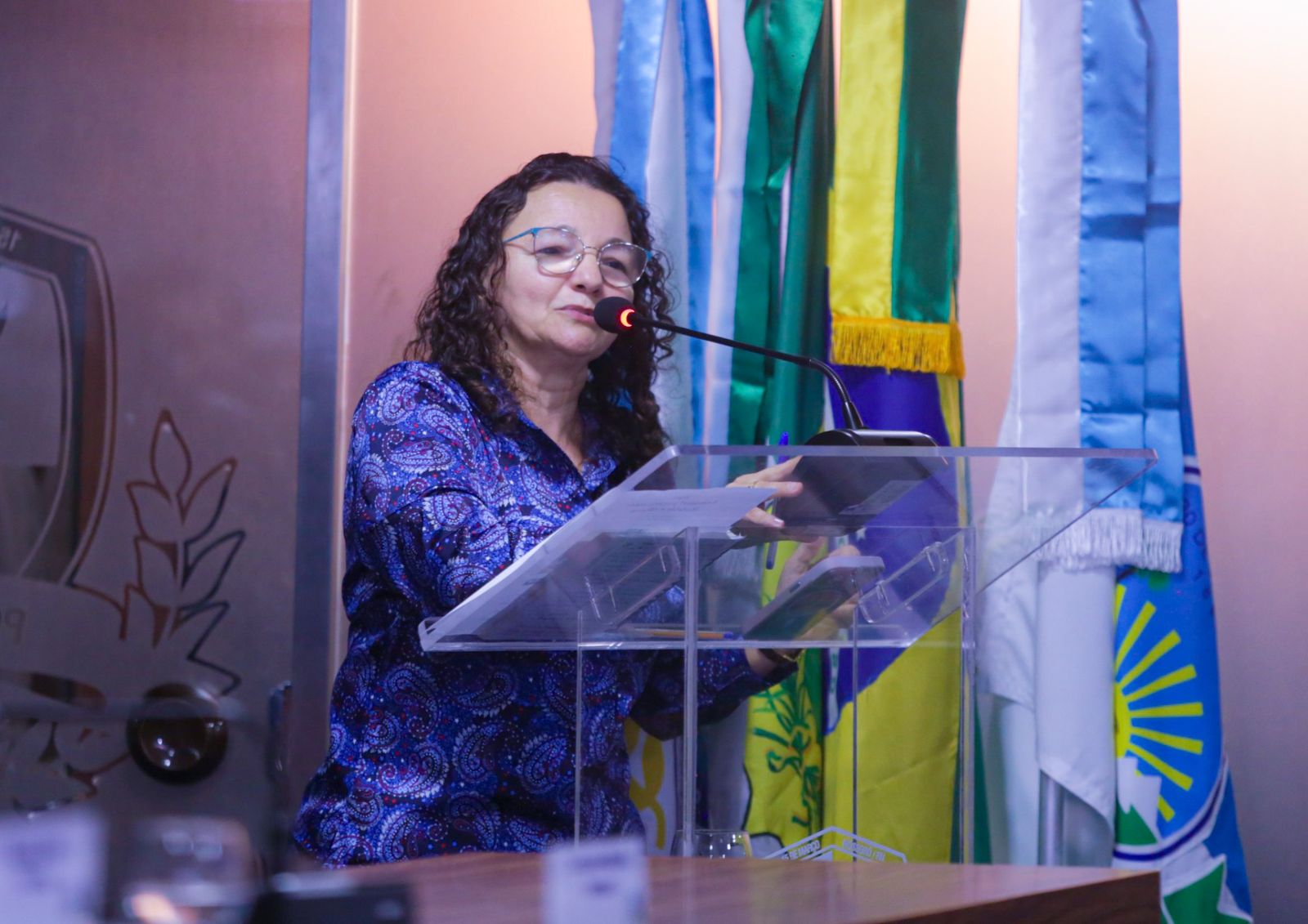 Marleide Cunha enaltece ursos de Mossoró e sua importância no Carnaval