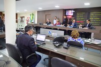 Plenário aprova projetos de estímulo à adoção