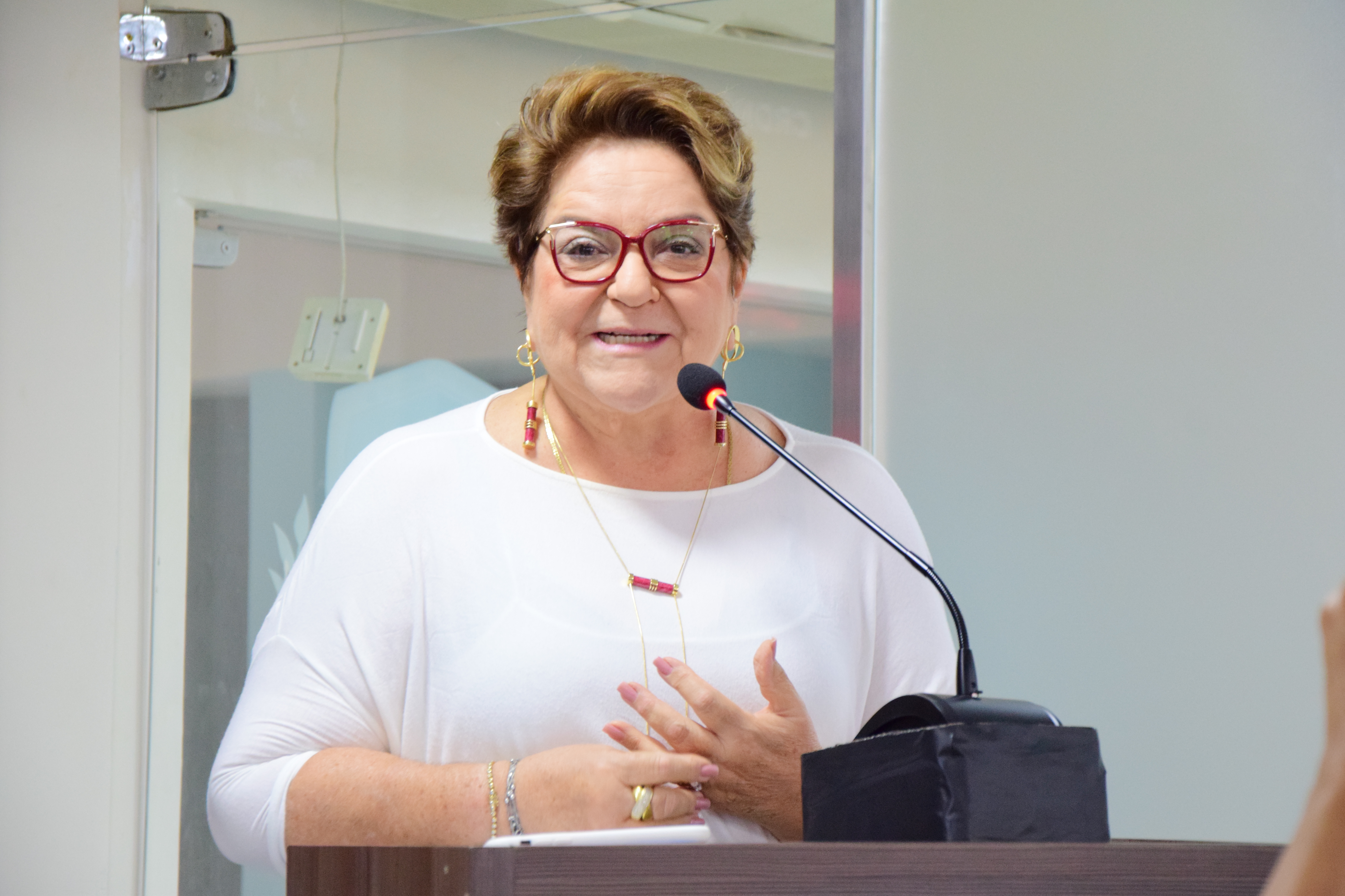 Sandra Rosado explica veto a Projeto de Lei sobre ensino da Lei Maria da Penha